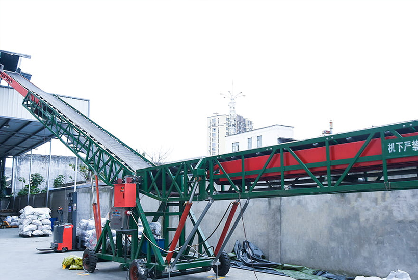 consulta profissional